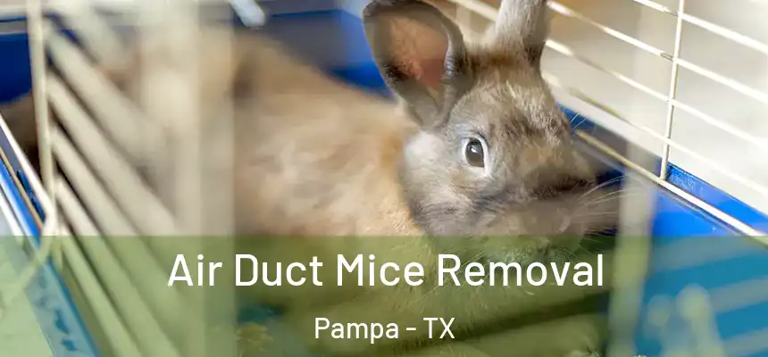  Air Duct Mice Removal Pampa - TX