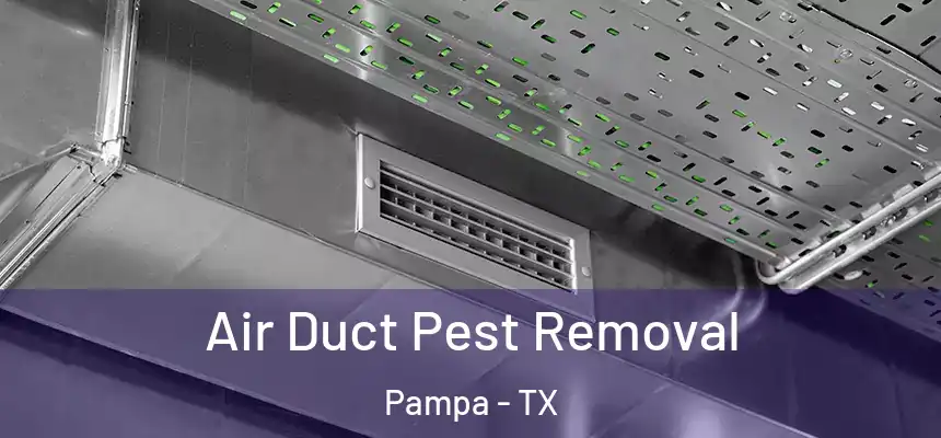  Air Duct Pest Removal Pampa - TX
