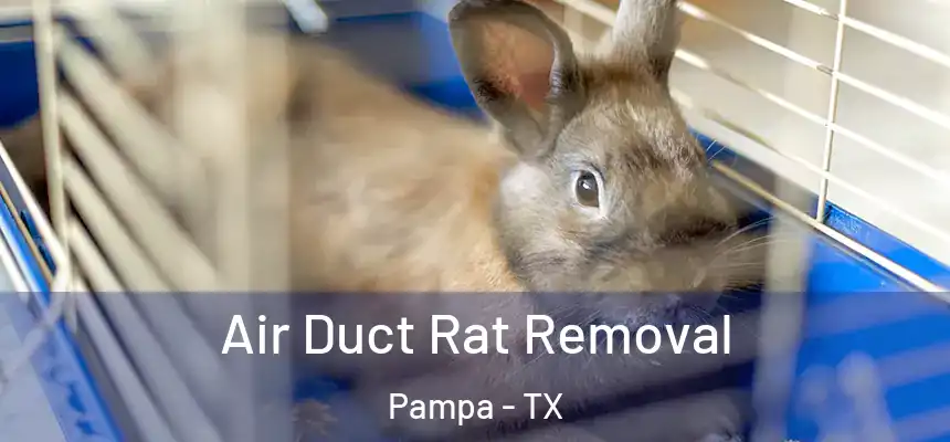  Air Duct Rat Removal Pampa - TX