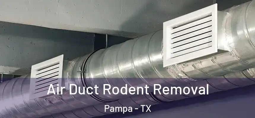  Air Duct Rodent Removal Pampa - TX