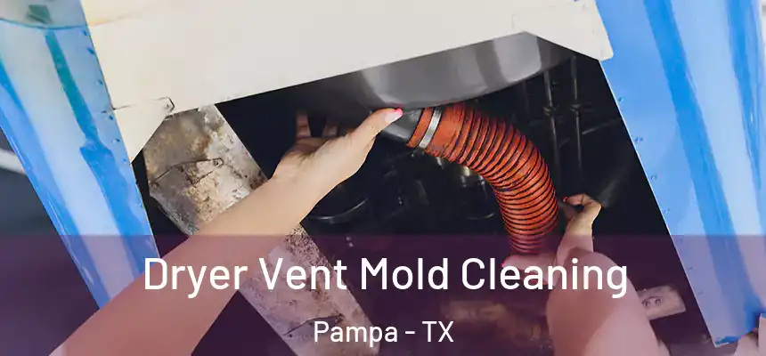  Dryer Vent Mold Cleaning Pampa - TX