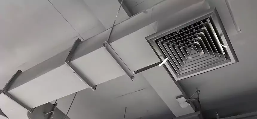 Restorative Allergy Relief Vent Cleaning – Coil, Blower & Housing Detail in Pampa