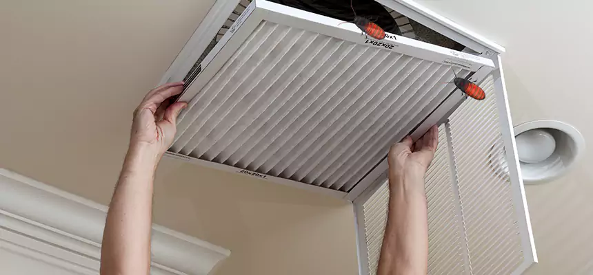 Our Insect Removal from Air Ducts Services in Pampa, TX