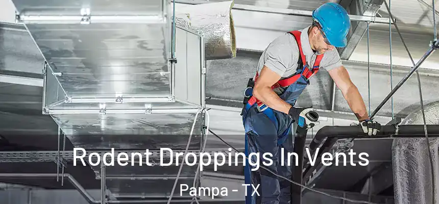  Rodent Droppings In Vents Pampa - TX