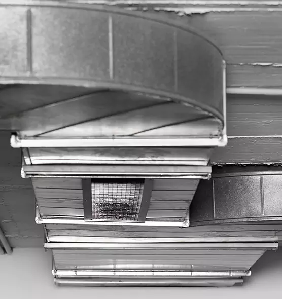 Professional Air Duct Pest Removal in Pampa, TX