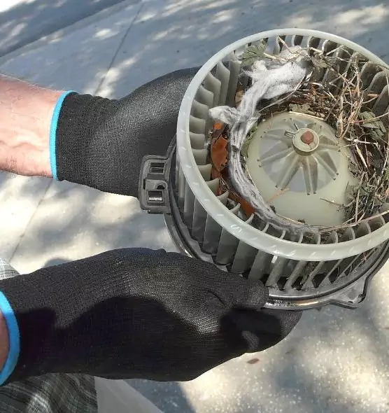 About Air Duct Rat Removal in Pampa, TX